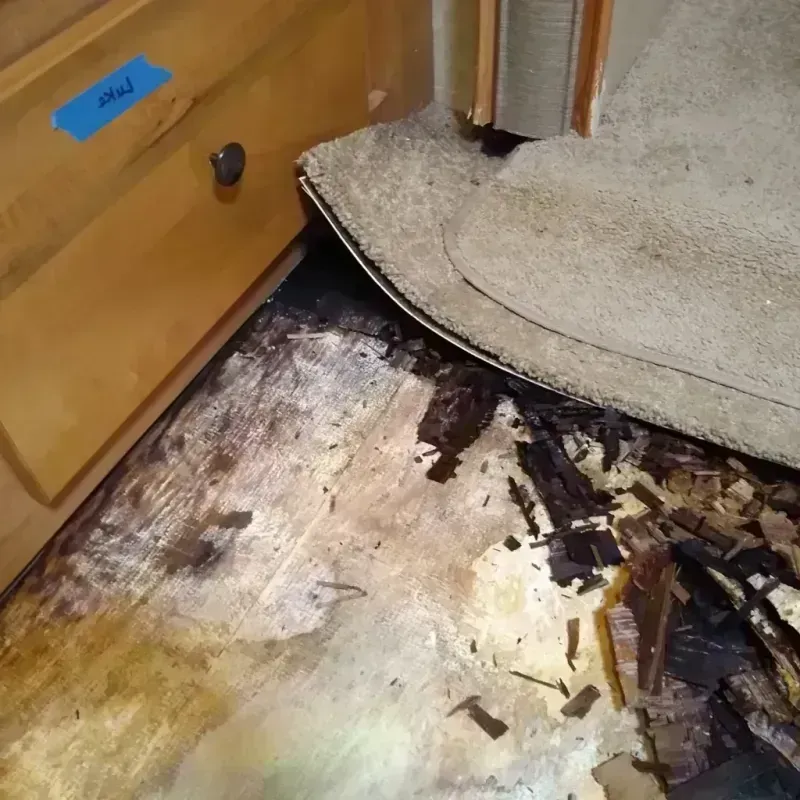 Wood Floor Water Damage in Lamar County, MS